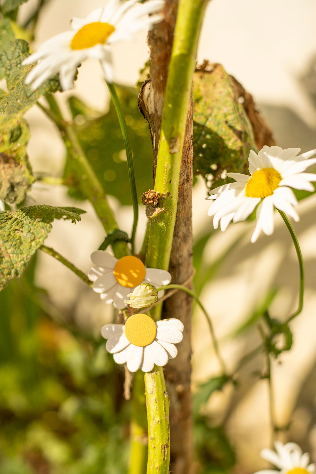 Boucles d'oreilles demi-marguerite 9 pétales